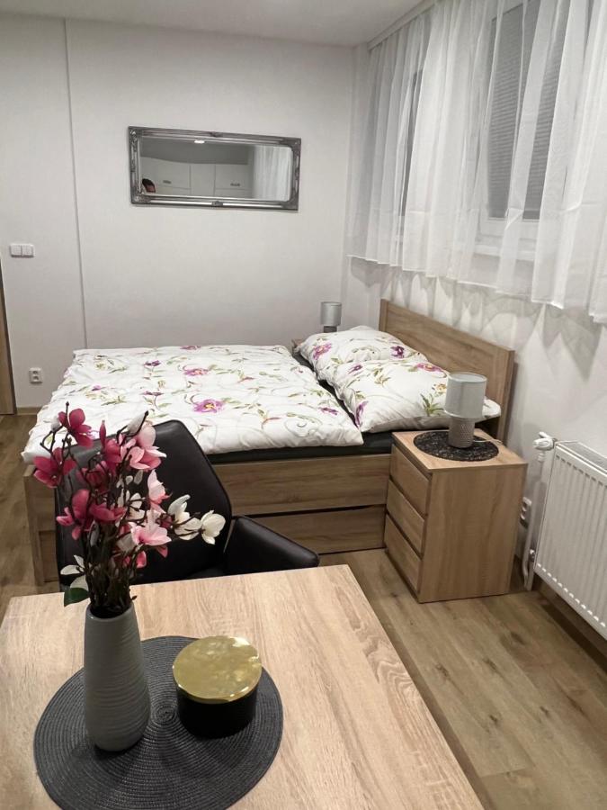 Apartmany U Jelena 1 Český Krumlov Extérieur photo